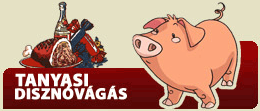 Tanyasi diszn�v�g�s