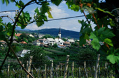 M�ri borvid�k